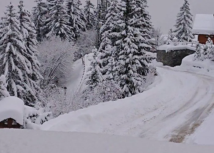 Ski-in/ski-out, Courchevel, 6 Pers, Parking - Fr-1-514-23 Courchevel